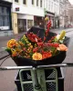 Buitengewoon bloemen