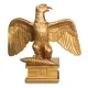 Goldener Adler