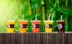 Jungle Juice Bar