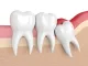 Rawson Dental