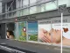 Skin center