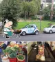 Filder Pizza Taxi