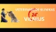Vingio veterinarijos klinika
