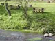 Il Casale Sul Fiume Treja