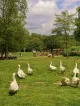 Il Casale Sul Fiume Treja