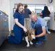 Pet Vets Animal Hospital