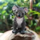 Mini Koala Car Rental