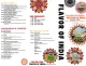 Flavor of India