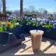 Neighbours Coffee
