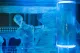 Ice Kube Bar