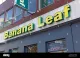 Banana Leaf