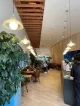 Ritual Coffee Roasters