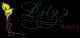 Lilys Bakery