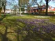 The Victoria Park