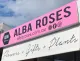 Alba Roses