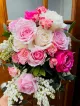 Alba Roses