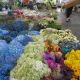 Hills Flower Market