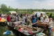 Flohmarkt an der Pferderennbahn