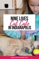 Nine Lives Cat Cafe