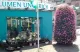 Blumen Unckrich