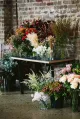 The Florist