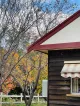 Megalong Valley Tea Rooms