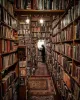 Book Lovers Bookshop