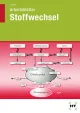 Stoffwechsel