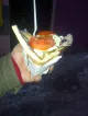 Crazy Kebab