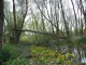 Rustpunt Natuurbezoekerscentrum Klein Profijt