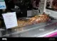 Oink Hog Roast