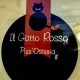 Il Gatto Rosso