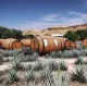 Tequila Barrel