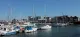 The Marina Surgery