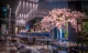 Ishi Fusion Sushi Restaurant