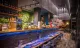 Ishi Fusion Sushi Restaurant