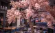 Ishi Fusion Sushi Restaurant