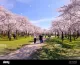 Tokyo garden