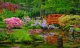 Tokyo garden