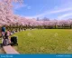 Tokyo garden