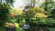 Tokyo garden
