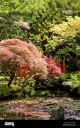 Tokyo garden