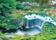 Tokyo garden