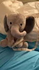 La Oreja de Elefante