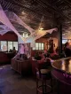 Shovels Bar