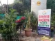 Barkat Bagh garden center and plant nursery