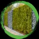 Ingeburg Schmitt Gartenbau
