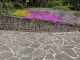 Ingeburg Schmitt Gartenbau