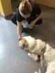 Center City Veterinary Hospital