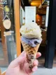 Sweet Alchemy Ice Creamery